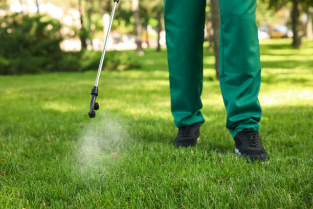 Best Bed Bug Extermination  in Rutherfordton, NC