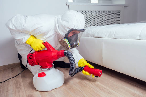 Best Rat Extermination Near Me  in Rutherfordton, NC