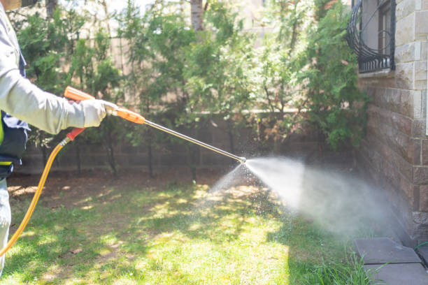 Best Wasp Removal Services  in Rutherfordton, NC