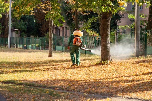 Best Exterminator Services  in Rutherfordton, NC
