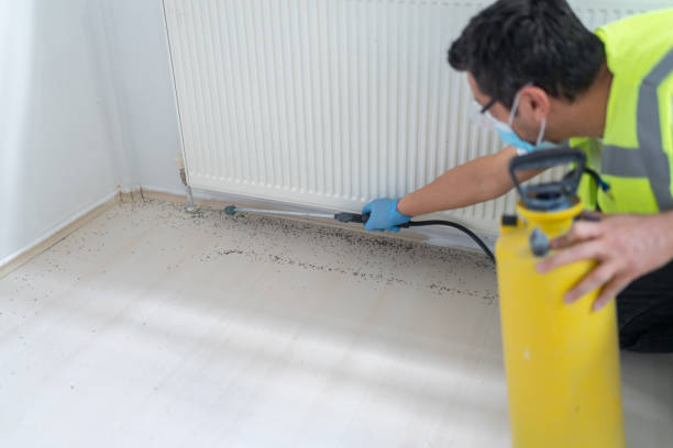 Best Flea Control Services  in Rutherfordton, NC