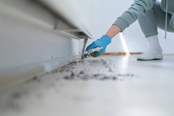 Best Local Pest Control Services  in Rutherfordton, NC